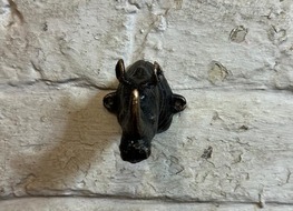 Rhino head coat hook